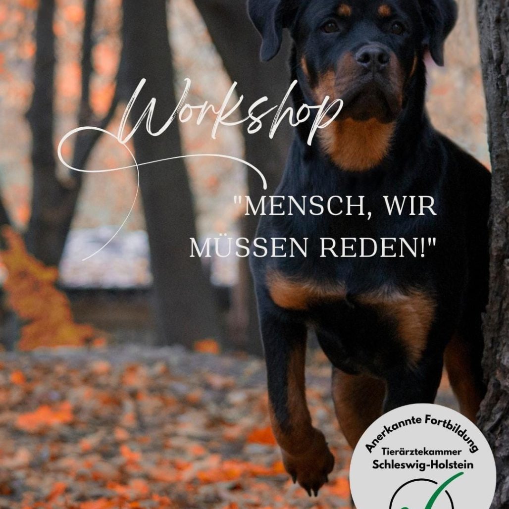 Bild_Mensch_wir